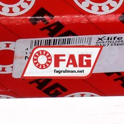 FAG NJ2313-E-XL-M1 rulman resim 7