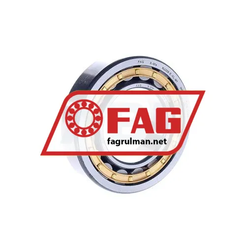 FAG NJ209-E-XL-M1