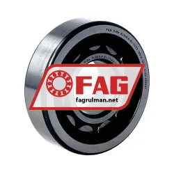 FAG NJ305-E-XL-TVP2