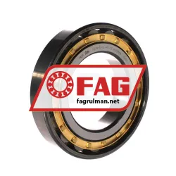 FAG N218-E-XL-M1-C3