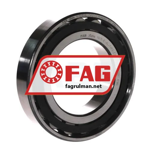 FAG N215-E-XL-TVP2-C3