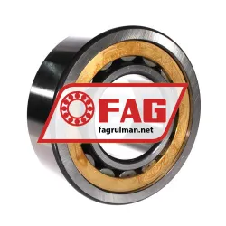 FAG NU2319-E-XL-M1A-QP51-C4 rulman resim 3