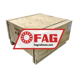 FAG NU1096-TB-M1