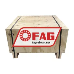 FAG NU1096-TB-M1 rulman resim 2
