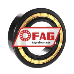 FAG NJ2220-E-M1-J30PC-C3