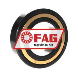 FAG NJ2220-E-M1-J30PC-C3 rulman resim 2