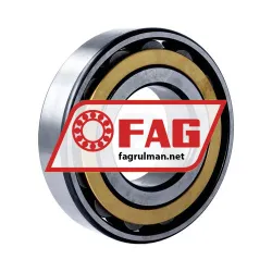 FAG N314-E-XL-M1 rulman resim 2
