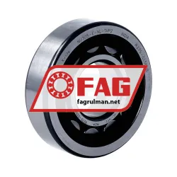 FAG NU305-E-XL-TVP2