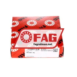 FAG NU407-XL rulman resim 4