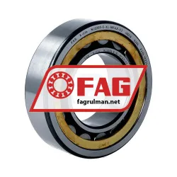 FAG NJ2209-E-XL-MPAX-C3