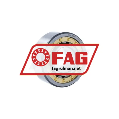 FAG NJ2310-E-XL-M1A-F59-C3