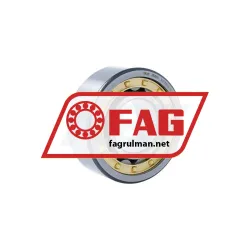 FAG NJ2310-E-XL-M1A-F59-C3