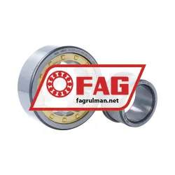 FAG NJ2310-E-XL-M1A-F59-C3 rulman resim 3