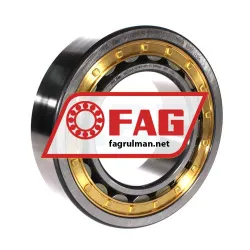 FAG NJ2220-E-XL-M1A-QP51-C3