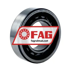 FAG NJ2209-E-XL-TVP2-C4