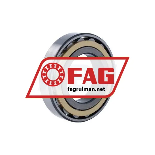 FAG N213-E-XL-M1-C4 ürün fotoğrafı 2
