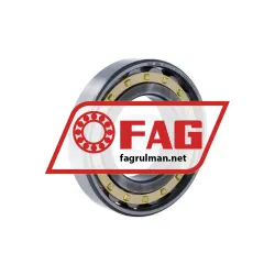 FAG N213-E-XL-M1-C4