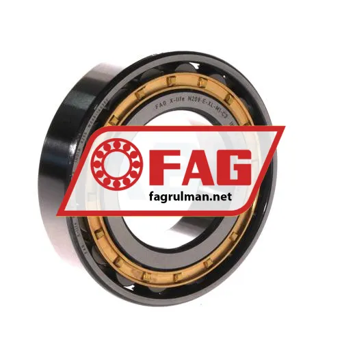 FAG N209-E-XL-M1-C3