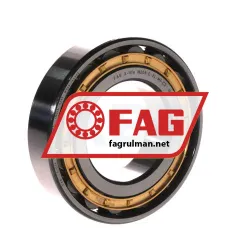 FAG N209-E-XL-M1-C3