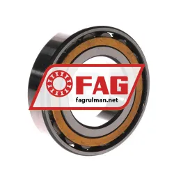 FAG N209-E-XL-M1-C3 rulman resim 2