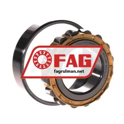 FAG N209-E-XL-M1-C3 rulman resim 3