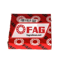 FAG N209-E-XL-M1-C3 rulman resim 4