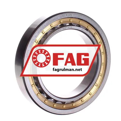 FAG NU1015-XL-M1A-C3