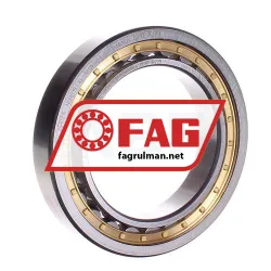 FAG NU1015-XL-M1A-C3