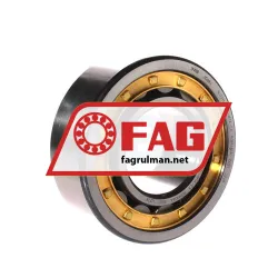 FAG NJ2322-E-XL-M1A-C3