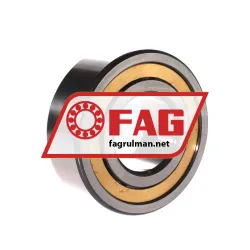 FAG NJ2322-E-XL-M1A-C3 rulman resim 2