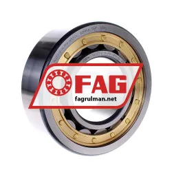 FAG NJ2317-E-XL-M1A-QP51-C3