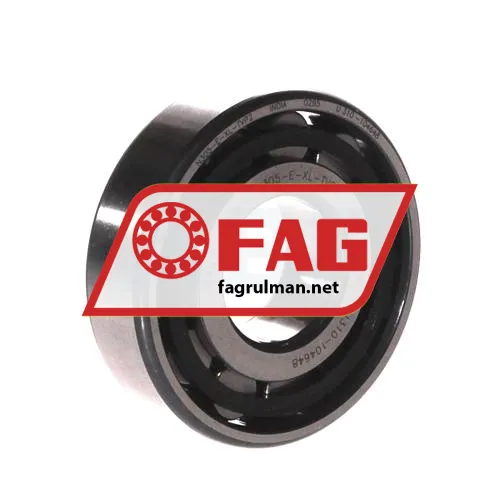 FAG N305-E-XL-TVP2