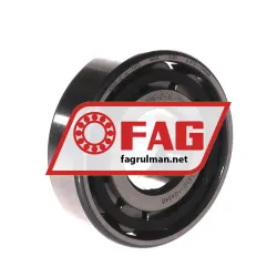 FAG N305-E-XL-TVP2