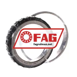 FAG N1021-D-K-TVP-SP-XL
