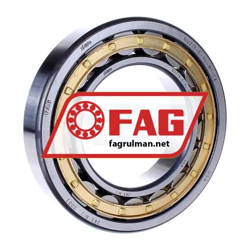 FAG NU219-E-XL-M1-C4