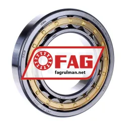 FAG NU219-E-XL-M1-C4