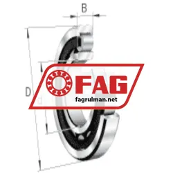 FAG NU219-E-XL-M1-C4 rulman resim 6