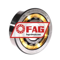 FAG NU409-XL-M1-C3