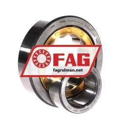 FAG NU409-XL-M1-C3 rulman resim 3