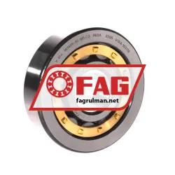 FAG NU406-XL-M1-C3