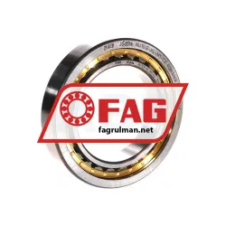 FAG NU1012-XL-M1-C3