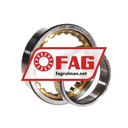 FAG NU1012-XL-M1-C3 rulman resim 2