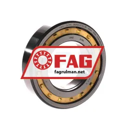 FAG NUP210-E-XL-M1