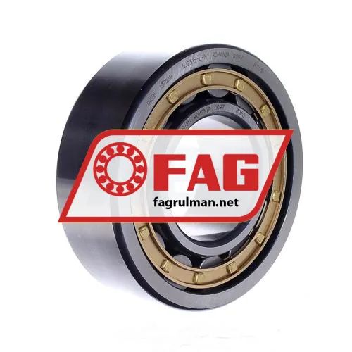 FAG NJ2315-E-M1