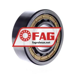FAG NJ2315-E-M1