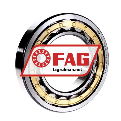 FAG NU220-E-M1-C3