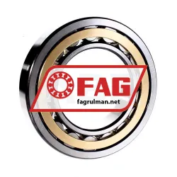 FAG NU220-E-M1-C3 rulman resim 3