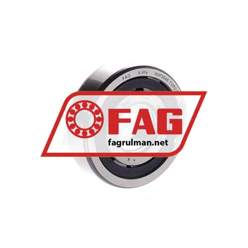 FAG NUP304E-TVP2-C3