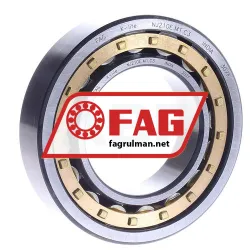 FAG NJ210E-M1-C3