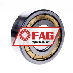 FAG NUP2313-E-XL-M1